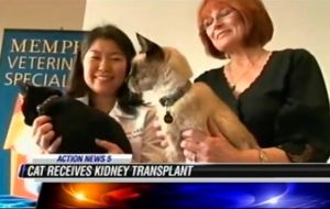 ����� ����� ������� �����